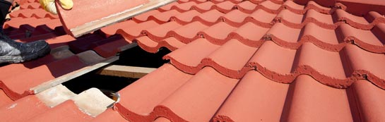 compare Buckhorn roof repair quotes
